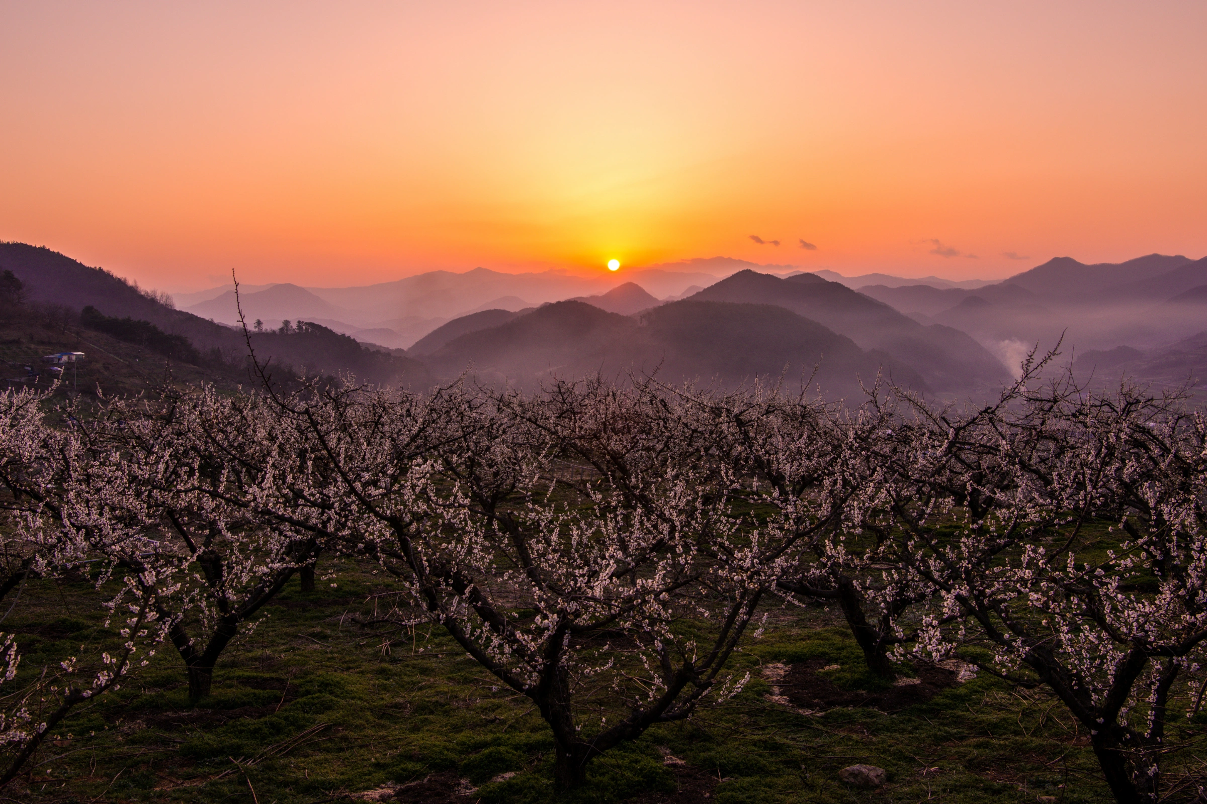 Suncheon-si[1].webp